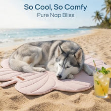 Load image into Gallery viewer, Vagascape Dog Cooling Mat, Washable Pet Cooling Mat, 35" x 33" Thick & Durable Large Cooling Mat for Dogs, Portable Foldable Premium Cooling Pad for Indoor, Outdoor, Travel, Camping, Patio and Beach