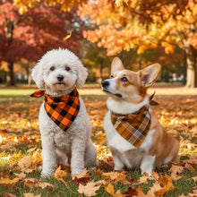 Load image into Gallery viewer, 2 Pack Thick Triangle Dog Bandanas in Storage Box, Reversible Plaid Dog Bandanas Boy Girl, Washable Soft Dog Scarf, Holiday Dog Bandana for Medium Large Dogs and Cats (Large)