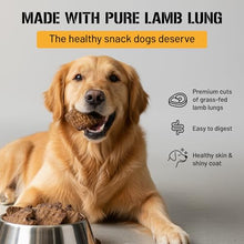Load image into Gallery viewer, Dog Chits Lamb Lung Fillets Dog and Puppy Treats - Low Fat, High Protein Single Ingredient Dog Treat - Easy to Break Slices - Great for Training - Made in USA, Large 10 oz. Bag