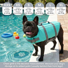 Load image into Gallery viewer, Doglay Dog Life Jacket with Rescue Handle, Dog Life Vest for Swimming Boating, Adjustable Reflective Puppy Swim Vest with Superior Buoyancy for Small Medium Large Dogs