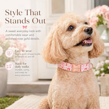 Load image into Gallery viewer, ARING PET Girl Dog Collar for Puppy Small Medium Large Dogs-Pink Red Bow S