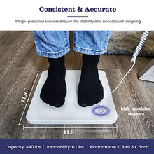 Load image into Gallery viewer, Tetuga Medical Scale - Heavy Duty 440 lb High Capacity Wrestling Scale for Body Weight with Easy to Read LCD Display Physician Scale, Professional Medical Grade Scale for Doctor Home Gym Office