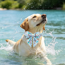 Load image into Gallery viewer, ARING PET Summer Dog Collar with Bow, Cute Blue Ice Pop Sailor Bowtie Pet Doggy Collars with Metal Buckle for Puppy Small Medium Large Boy Girl Dogs-XL