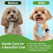 Load image into Gallery viewer, 3-in-1 Dog Hair Dryer Brush - Adjustable Temp (35°C-60°C) & 4 Speeds, One-Touch Hair Collection for Safe Grooming of Small & Medium Dogs Cats