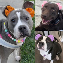 Load image into Gallery viewer, Dog Hair Bow 3 Pack – Double Bow Dog Headbands, Adjustable Hair Accessories for Small & Medium Dogs, Adjustable Pet Hair Accessories for Daily Wear & Special Occasions, Puppy Grooming Accessories