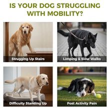 Load image into Gallery viewer, KISFLY Hip & Joint Chews for Senior Dogs – Advanced Mobility Formula