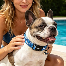 Load image into Gallery viewer, ARING PET Summer Dog Collar, Cute Blue Ocean White Whale Doggy Collars for Puppy Small Medium Large Boy Girl Dogs Pet, for Daily Photos Beach Walking Hiking Picnic-L