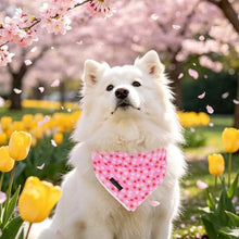 Load image into Gallery viewer, ARING PET Girl Dog Bandanas, Cute Summer Pink Daisy Floral Pet Bandana Scarf Triangle Bib for Small Medium Large Female Dogs Cats, Puppy Kerchief for Daily Wear Walks Party Photos-S