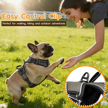 Load image into Gallery viewer, No Pull Dog Harness, No-Choke Soft Padded Reflective Dog Vest Harness with Front Clip & Top Handle, 2 Quick-Release Buckles, Adjustable for Small Medium Large Dogs