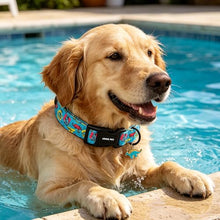 Load image into Gallery viewer, ARING PET Dinosaur Dog Collar, Cute Blue Boy Doggy Collars for Puppy Small Medium Large Male Dogs Pet, for Daily Photos Summer Beach Walking Hiking Picnic-XL
