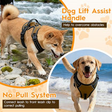 Load image into Gallery viewer, No Pull Dog Harness, No-Choke Soft Padded Reflective Dog Vest Harness with Front Clip & Top Handle, 2 Quick-Release Buckles, Adjustable for Small Medium Large Dogs