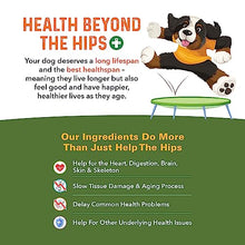 Load image into Gallery viewer, Bernie's Healthy Hips, Hip and Joint Supplement for Dogs, 90 Ct Soft Chews