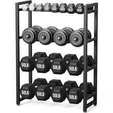 Load image into Gallery viewer, 4 Tier Dumbbell Rack, Weight Rack for Home Gym, 1100 lb Capacity