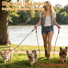 Load image into Gallery viewer, FOVRLZSE 5-Pack Nylon Dog Leashes, 4.6FT, Red Black Blue Brown Purple