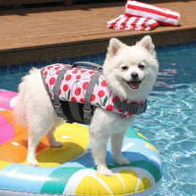 Load image into Gallery viewer, Doglay Dog Life Jacket, Dog Life Vest for Swimming Boating, Adjustable Puppy Life Jacket with Reflective Stripes, Superior Buoyancy Pet Swimming Vest for Small Medium and Large Dogs