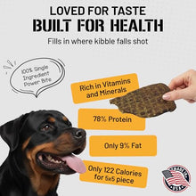 Load image into Gallery viewer, Dog Chits Beef Lung Fillets Dog and Puppy Treats – All Natural Chews for Dogs – Grain-Free, High-Protein, Low Fat Single Ingredient Dog Treat – Ideal for All Dogs – Large, 5 oz – Made in USA