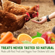 Load image into Gallery viewer, Doc Eddie’s Backyard Chicken Supplement - Plant-Based Treats for Egg Laying Hens - Poultry Feed Enrichment Made with Omega 3 Rich Algae - Essential for Immune Health, Feather Regrowth, Egg Production