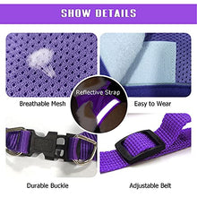 Load image into Gallery viewer, FEimaX Dog Harness and Leash Set for Walking, Soft Mesh Adjustable Easy Control Lightweight Cat Vest Harnesses with Reflective Strips, Escape Proof Small Dogs Cats Vests
