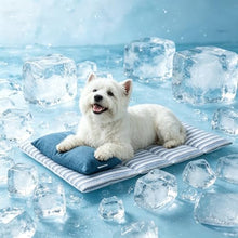 Load image into Gallery viewer, Dog Cooling Mat for Dogs, 28.4”×18.5” Breathable Cooling Mat for Small or Medium Pets (Q-Max 0.485), Thick Washable Pet Cooling Mat with Pillow, Long-lasting Chill Pet Pad for Crate, Sofa, Floor, Car