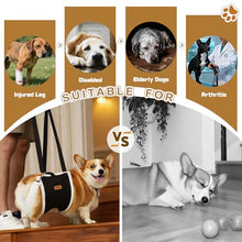 Load image into Gallery viewer, Dog Lift Harness Sling for Medium Dogs - Adjustable No-Slip Rear Leg Support with Padding & Back Fixed Buckle, Hip Dysplasia/ACL/TPLO Surgery Recovery Aid, Dog Sling for Injured,Disabled/Senior Dogs