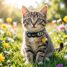 Load image into Gallery viewer, ARING PET 2 Pack Cat Collar, Breakaway Kitten Small Cute Pink Floral Bow Collars with Bells for Girl Female Cats