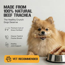 Load image into Gallery viewer, Dog Chits Beef Trachea Dog Chews - 100% Single Ingredient, High Protein, Low Fat - Glucosamine for Joint Support - Dental-Clean Crunch - Digestible Rawhide-Free, Natural Dog Chew Treats - 6inch, 8pack