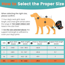Load image into Gallery viewer, Snagle Paw Dog Knee Braces for Back Legs, ACL/CCL Support, XXL
