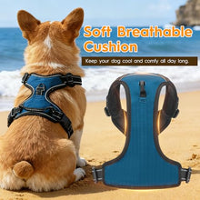 Load image into Gallery viewer, No Pull Dog Harness, No-Choke Soft Padded Reflective Dog Vest Harness with Front Clip & Top Handle, 2 Quick-Release Buckles, Adjustable for Small Medium Large Dogs