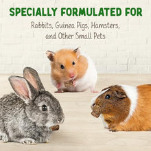 Load image into Gallery viewer, DOC EDDIE'S Digestive Bites - Plant-Based Small Animal Treats for Rabbits, Guinea Pigs, Hamsters, Gerbils, and More - Probiotics Supplement Made with Timothy Hay, Real Fruits, and Veggies