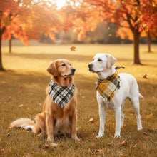 Load image into Gallery viewer, 2 Pack Thick Triangle Dog Bandanas with Tassels Edges, Reversible Plaid Dog Bandanas Boy Girl in Storage Box, Washable Soft Dog Scarf, Holiday Dog Bandana for Medium Large Dogs and Cats (Large)