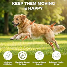 Load image into Gallery viewer, KISFLY Hip & Joint Chews for Senior Dogs – Advanced Mobility Formula