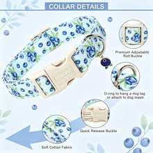Load image into Gallery viewer, ARING PET Blueberry Dog Collar, Cute Spring Summer Blue Doggy Collars for Puppy Small Medium Large Boy Girl Dogs, for Daily Photos Beach Walking Hiking Picnic-M