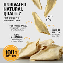 Load image into Gallery viewer, Dog Chits Cow Ears for Dogs – All Natural Cow Ear Dog Treats & Training Chews – High Protein, Low Fat – Thick Cut, Full-Sized – Dental Clean Crunch – Ideal for Medium & Large Dogs – Large, 10 Pk