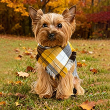 Load image into Gallery viewer, 2 Pack Thick Triangle Dog Bandanas with Tassels Edges, Reversible Plaid Dog Bandanas Boy Girl in Storage Box, Washable Soft Dog Scarf, Holiday Dog Bandana for Medium Large Dogs and Cats (Large)