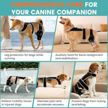 Load image into Gallery viewer, Snagle Paw Dog Knee Braces for Back Legs, ACL/CCL Support, XXL