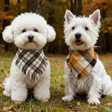 Load image into Gallery viewer, 2 Pack Thick Triangle Dog Bandanas with Tassels Edges, Reversible Plaid Dog Bandanas Boy Girl in Storage Box, Washable Soft Dog Scarf, Holiday Dog Bandana for Medium Large Dogs and Cats (Large)