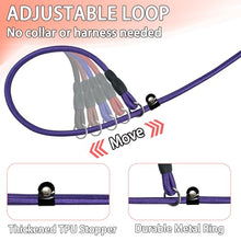 Load image into Gallery viewer, FOVRLZSE 5-Pack Nylon Dog Leashes, 4.6FT, Red Black Blue Brown Purple