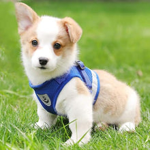 Load image into Gallery viewer, FEimaX Dog Harness and Leash Set for Walking, Soft Mesh Adjustable Easy Control Lightweight Cat Vest Harnesses with Reflective Strips, Escape Proof Small Dogs Cats Vests (Blue, Small)