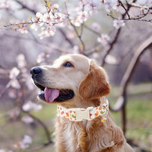 Load image into Gallery viewer, ARING PET Dog Collar, Cute Spring Summer Insects Bee Floral Doggy Collars with Quick Release Buckle for Puppy Small Medium Large Dogs-L