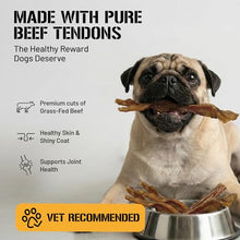 Load image into Gallery viewer, Dog Chits Beef Tendons Extra Large for Dogs & Puppies - High Protein, Low Fat - All Natural Beef Tendon Chew - Digestible, Lasting Training Reward Treats - Great for Healthy Joints - 9-11 inch, 6 pk
