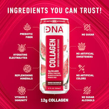 Load image into Gallery viewer, HYDRADNA- Sparkling Liquid Collagen Protein Water Drink Balanced Nutrients for Wellness - Sugar-Free - Keto-Friendly - No Gluten (12 Pack) Watermelon