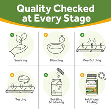Load image into Gallery viewer, Doctor's Recipes Moringa, Complete Green Superfood, Natural Antioxidant Support, Non-GMO, 90 Vegan Caps, No Caffeine Soy Gluten