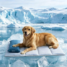 Load image into Gallery viewer, Dog Cooling Mat for Extra Large Dogs, 43”×30” Breathable Cooling Mat for Dogs & Cats Q-Max 0.485, Portable Washable Pet Cooling Mat for Dog Bed with Pillow, Thickened Cool Fiber Indoor/Outdoor Summer