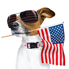Load image into Gallery viewer, ARING PET 4th of July Collars for Dogs, Fourth of July Pink Patriotic USA Flag Dog Collar for Puppy Small Medium Large Boy Girl Doggy-S