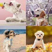 Load image into Gallery viewer, ARING PET Dinosaur Dog Collar-Cute Dog Collar for Small Dogs, Adjustable Dinosaur Print Pet Collars Puppy Collar for Small Medium Large Dogs
