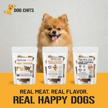 Load image into Gallery viewer, Dog Chits Beef Trachea Dog Chews - 100% Single Ingredient, High Protein, Low Fat - Glucosamine for Joint Support - Dental-Clean Crunch - Digestible Rawhide-Free, Natural Dog Chew Treats - 12inch, 4pk