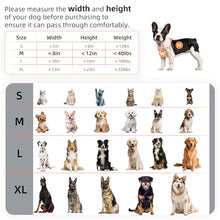 Load image into Gallery viewer, MIAOTONG Steel Dog Door for Wall, 3-Flap, Sturdy and Durable, Medium