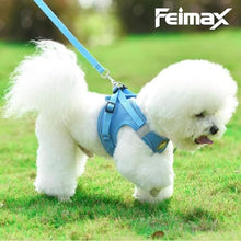 Load image into Gallery viewer, FEimaX Dog Harness and Leash Set, No Pull Breathable Soft Mesh Puppy Vest Harness Reflective Adjustable Pet Harnesses for Small Medium Dogs and Cats - Outdoor Easy Control for Walking