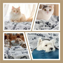 Load image into Gallery viewer, Dog Blanket, Premium Soft Dog Blanket Washable, 41x31inch Puppy Essentials Dog Product Cat Blankets Throw for Medium Small Dogs, Pet Dog Gifts, 2024 New Upgraded Doggy Blankets, Grey