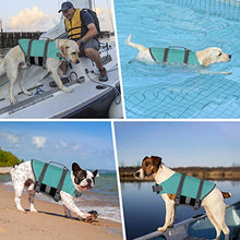 Load image into Gallery viewer, Doglay Dog Life Jacket with Rescue Handle, Dog Life Vest for Swimming Boating, Adjustable Reflective Puppy Swim Vest with Superior Buoyancy for Small Medium Large Dogs